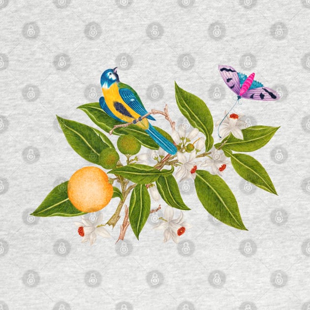 Bird, Butterfly, and Orange Bloom - Nature Illustration by Biophilia